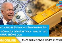 ZOOM ONLINE ngày 11/03/2021